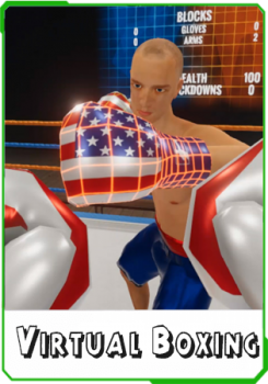 Virtual Boxing League